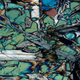 A microscopic cross-section of the 49-milion-year-old basalt.